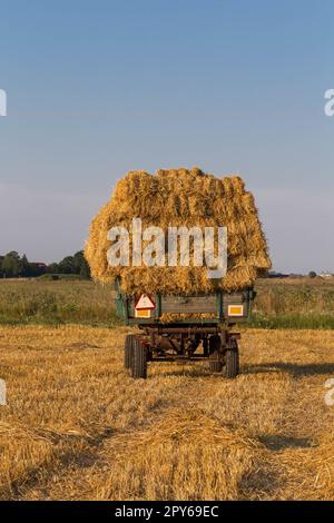 Strohballen auf einem Anhänger Stockfoto