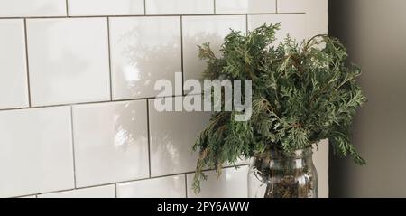 Banner Green Zweig von Wacholder in Glasvase in der Küche. Still-Life-Kopierraum und leerer Platz für Werbung Stockfoto