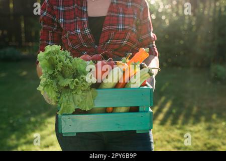 Bauernfrau mit Holzkiste voller frischem rohem Gemüse. Korb mit Gemüsekohl, Karotten, Gurken, Rettich, Salat, Knoblauch und Pfeffer in weiblichen Händen. Stockfoto