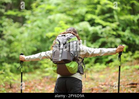 Rucksacktourist, der die Arme in einem Wald streckt Stockfoto