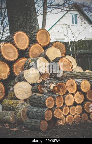 Nahaufnahme Brennholzstapel Konzeptfoto Stockfoto