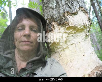 Ein Baum, der von einem Biber genagt wurde. Beschädigte Rinde und beschädigtes Holz. Die Arbeit des Bibers beim Bau des Dammes. Taiga, Karelien. Frau in Moskitoschutzkopfwäsche in der Nähe eines Baumstamms. Stockfoto