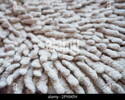 Nahaufnahme eines langen Haufens auf dem Teppich in Beige oder Grau. Rutschfeste Badvorleger oder Toilette. Langer Teppich. Zecken in Teppichen Stockfoto