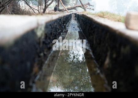 Wasserkanal für die Bewässerung des Feldbewässerungssystems im Dorf. Stockfoto