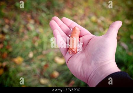 Nicht erkennbare Person ein Wurst gespickt mit Nägeln. Giftige Köder. Stockfoto