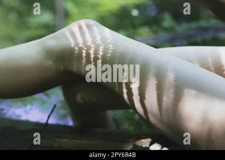 Nahaufnahme weiblicher Beine mit Pflanzen-Schatten-Konzeptfoto Stockfoto