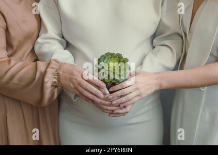 Nahaufnahme Frauen mit Pflanzen Konzeptfoto Stockfoto