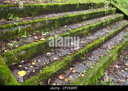 Außentreppe mit Moos, Schimmel und anderer Vegetation bedeckt. Banja Koviljaca, Loznica, Serbien. Ruinen eines Gebäudes. Stockfoto