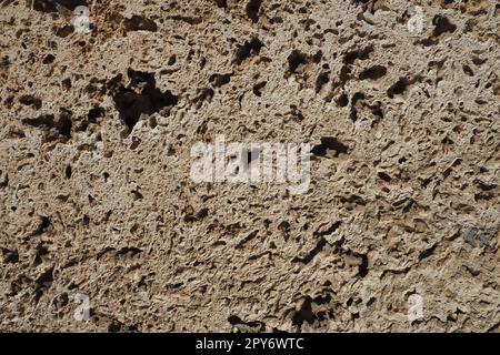 Strukturierte Wand mit beigefarbenen Muschelsteinfliesen. Nahaufnahme einer Mauer aus uraltem Muschelgestein. Löcher, Unregelmäßigkeiten an natürlichen Baustoffen. Kirchenmauer in Banja Koviljaca, Serbien Stockfoto