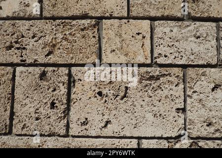 Strukturierte Wand mit beigefarbenen Muschelsteinfliesen. Nahaufnahme einer Mauer aus uraltem Muschelgestein. Löcher, Unregelmäßigkeiten an natürlichen Baustoffen. Kirchenmauer in Banja Koviljaca, Serbien Stockfoto