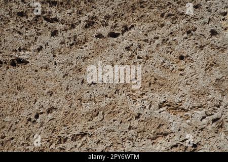 Strukturierte Wand mit beigefarbenen Muschelsteinfliesen. Nahaufnahme einer Mauer aus uraltem Muschelgestein. Löcher, Unregelmäßigkeiten an natürlichen Baustoffen. Kirchenmauer in Banja Koviljaca, Serbien Stockfoto