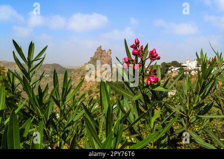 Cabo Verde, Santiago - Picos Stockfoto