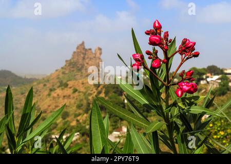 Cabo Verde, Santiago - Picos Stockfoto