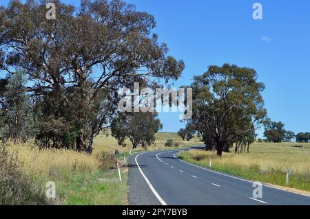 Ein Blick entlang des Banjo Paterson Way an einem sonnigen Nachmittag Stockfoto