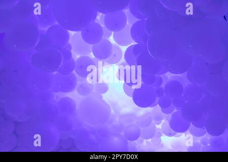 Violetter Hintergrund mit fliegenden Ballons – klares Design, abstraktes realistisches 3D-Banner. Stockfoto