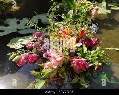 Rosa und rote Rosen in einem Strauß, der im Wasser eines Teiches schwimmt. Gepflückte Knospen als Dekoration für einen Sommerurlaub. Ivan Kupala, Sommersonnenwende. Erntefest. Stockfoto