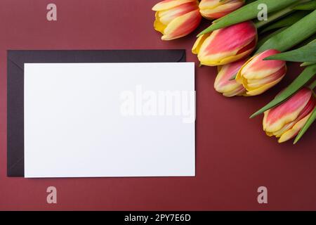 Grußkarten-Modell oder Dankeskarten-Vorlage mit einem Strauß Tulpen auf burgunderfarbenem Hintergrund. Stockfoto