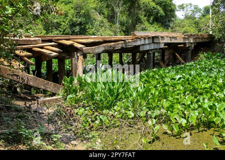 Transpantaneira: Typische heruntergekommene Holzbrücke, die einen Fluss in den Pantanal Feuchtgebieten überquert, Mato Grosso, Brasilien Stockfoto
