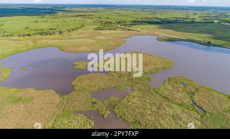 Luftaufnahme der typischen pantanalen Landschaft mit Lagunen, Flüssen, Wiesen und Wäldern, Pantanal Feuchtgebieten, Mato Grosso, Brasilien Stockfoto