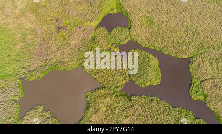 Blick von oben auf Pantanal Lagoons, Pantanal Wetlands, Mato Grosso, Brasilien Stockfoto