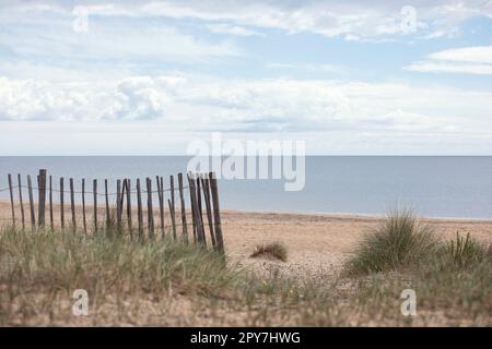 Meereshintergrund mit Holzzaun am Strand, Küstenvegetation mit Gras und Sand. Moody, romantische Meereslandschaft. Stockfoto