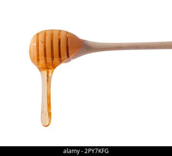 Fließende Tropfen gelben Honigs aus einem Holzstock auf einem weißen isolierten Hintergrund Stockfoto