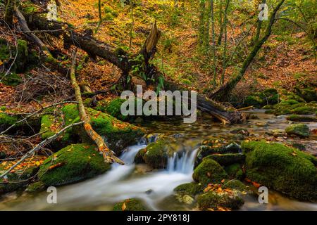 Wasserfall in mata da albergaria Stockfoto