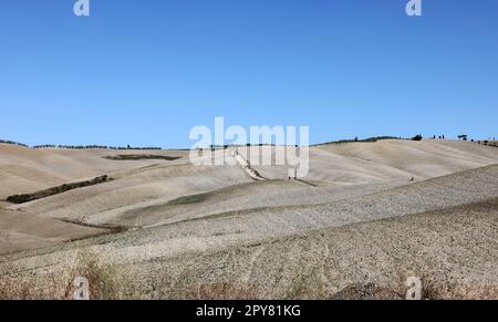 Die ländliche Landschaft in der Nähe von San Quirico in der Toskana. Stockfoto