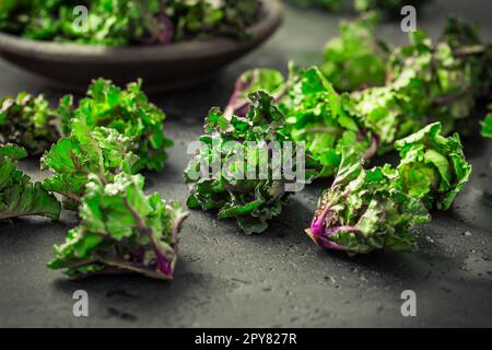 Kalette, Kohlsprossen, Blumensprossen auf schwarzem Hintergrund. Heides Wintergemüse. Stockfoto