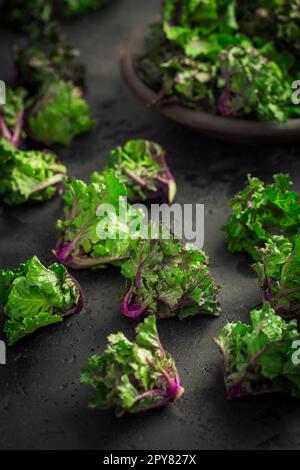 Kalette, Kohlsprossen, Blumensprossen auf schwarzem Hintergrund. Heides Wintergemüse. Stockfoto