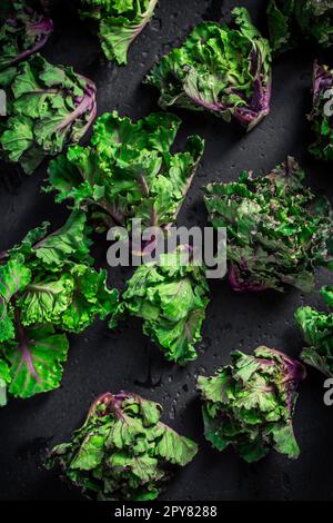 Kalette, Kohlsprossen, Blumensprossen auf schwarzem Hintergrund. Heides Wintergemüse. Stockfoto