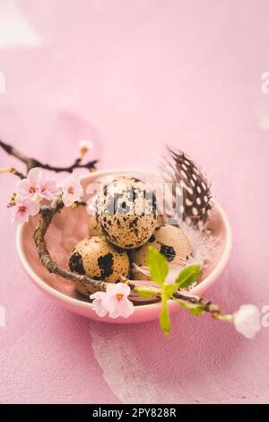 Ostereier und rosa Blumen auf rosa Hintergrund. Ostern- und Frühlingskonzept Stockfoto
