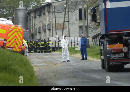 Die hochpathogene Aviäre Influenza des Subtyps H5N1 wurde am 3. Mai 2023 in einem kommerziellen truthahnbetrieb in Rychvald bei Karvina, Tschechische Republik, bestätigt. ( Stockfoto