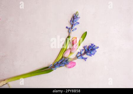 Frühlingsanordnung mit Tulpen und Hyazinthen Stockfoto