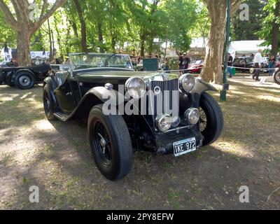 Ein alter 1947 MG TC Roadster in einem Park. Natur, Gras, Bäume. Autoclasica 2022 Oldtimer-Show. Stockfoto