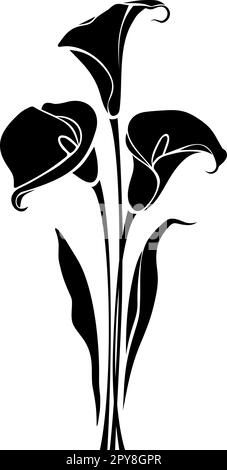 Strauß von Calla-Lilienblüten isoliert auf weißem Hintergrund. Schwarze Silhouette aus Calla-Blumen-Bouquet. Vektordarstellung Stock Vektor