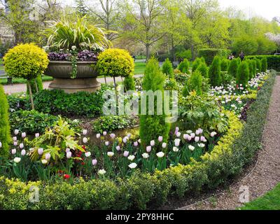 Frühlingsblumen in den Avenue Gardens im Regents Park London England Stockfoto