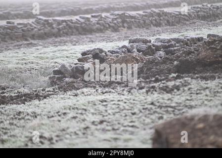 Torf an einem frostigen, nebligen Wintermorgen Stockfoto