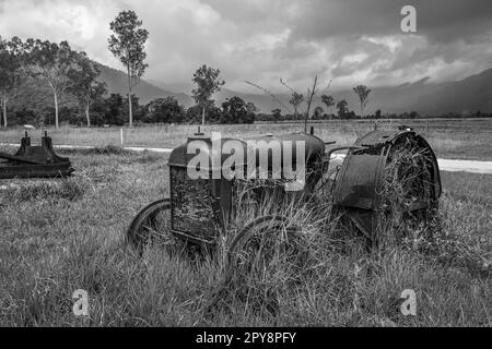 Ein rostender Oldtimer-Traktor neben der Murray Falls Road, Murray Upper, Queensland, Australien Stockfoto