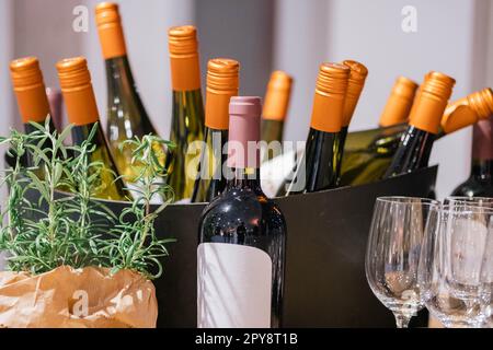 Ein Bild von mehreren Flaschen Wein. Die Weinflaschen sind gekühlt und es gibt Rotwein und Weißwein. Stockfoto