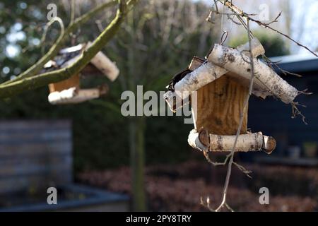 Vogelhaus aus Holz für Vögel auf einem Baum im Park, Garten aus nächster Nähe handgemachtes Haus für Vögel im Naturwald, Frühlingskonzept Stockfoto