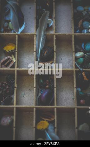Nahaufnahme des Konzeptfotos zur Schnitzeljagd im Herbst Stockfoto