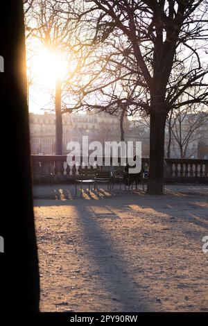 Foto von jemandem, der im Tuileriengarten in Paris, Frankreich sitzt und die Sonne im Winter genießt Stockfoto