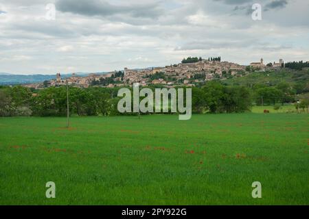 Panoramablick auf die mittelalterliche Stadt Spello am bewölkten Frühlingstag in Umbrien, Italien Stockfoto