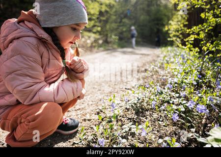 Kleines Mädchen mit Perlblüten im Frühlingswald. Stockfoto