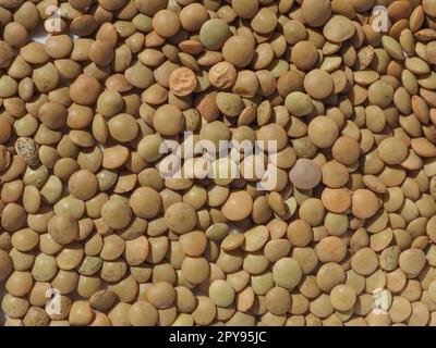 Die Linsen pulsieren Hülsenfrüchte Stockfoto