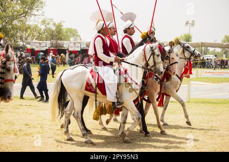 Pakistan, asiatischer Reiter auf dem traditionellen Islamabad Championship Zeltverankerungsfestival in Islamabad Zeltverankerung . 30-April-2023 Stockfoto