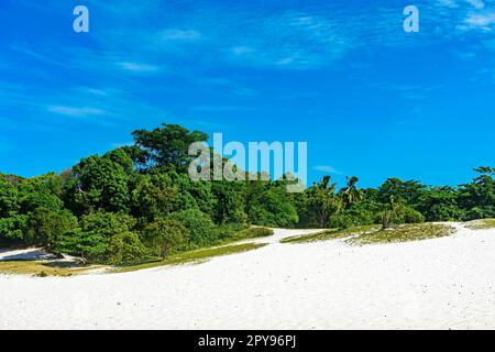 Weiße Sanddünen bedeckt von Vegetation in der berühmten Lagoa do Abaete in Salvador in Bahia, Brasilien Stockfoto