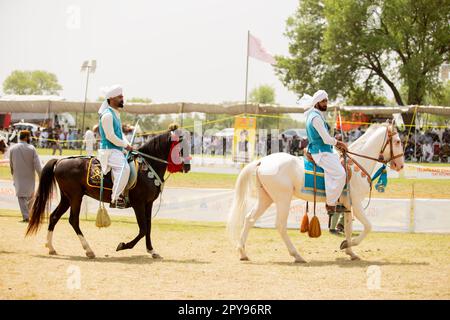 Pakistan, asiatischer Reiter auf dem traditionellen Islamabad Championship Zeltverankerungsfestival in Islamabad Zeltverankerung . 30-April-2023 Stockfoto