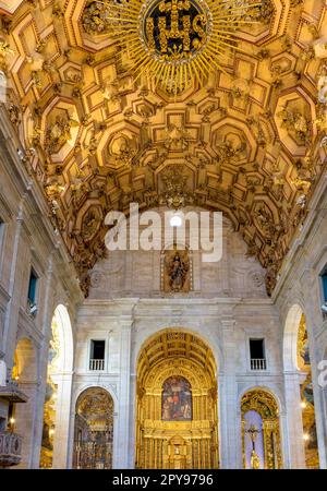 Inneneinrichtung einer historischen barocken Kirche in Salvador, Bahia, reich dekoriert mit vergoldeten Wänden und Altar, Brasilien Stockfoto